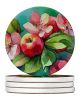 Arkansas Apple Blossom in Watercolor Large Sandstone Coasters Pack of 4 Absorbent Round Coasters Decor Gifts for Men or Women, 4 in, Multicolor